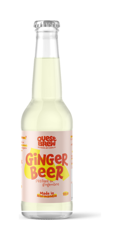 Ginger Beer, carton de 6 bouteilles